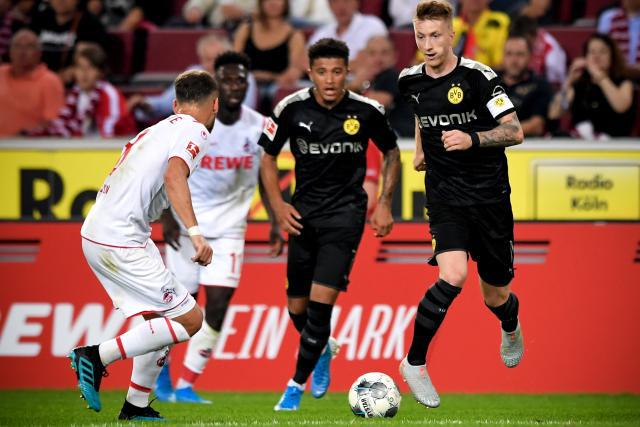 上海队官宣两外援人选 冯莱搭档费雷尔新赛季